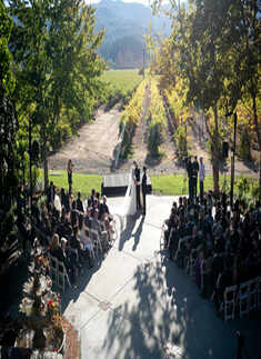 Lisa Ray's wedding pics