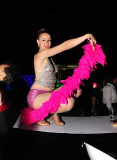 Swedish House Mafia concert @ Noida