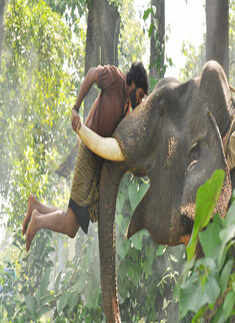'Kumki'