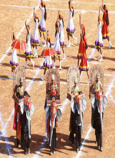 Goa liberation day celebration