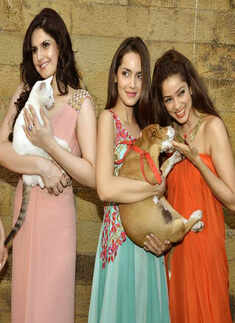 Sahachari's collection preview