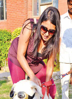 It's showtime for pets!