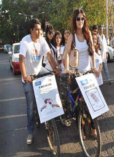 Tulip @ campaign promotion