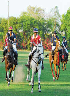 Horsing around in the sun