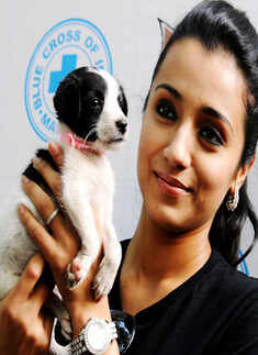 Trisha @ Blue Cross event