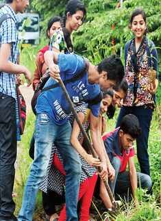 Green&rsquo;s the word 