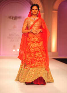 IBFW 2013: Day 5: Adarsh Gill