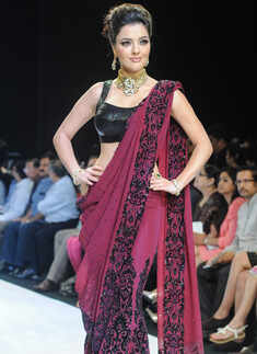 IIJW'13: D.Navinchadra