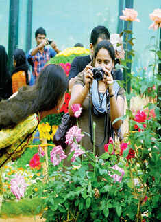 Lalbagh Flower Show