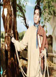 Naya Daur