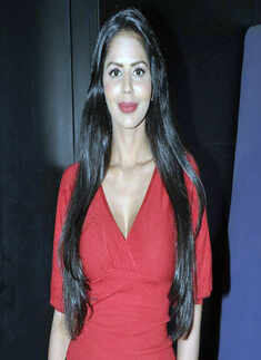 Dil Pardesi Ho Gaya audio launch