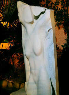 Sculpture unveiling @ VN Dalmia's residence