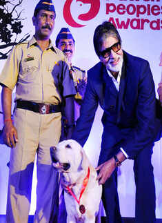 Best pictures of the day