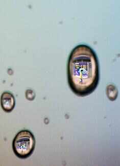 Best pictures of the day