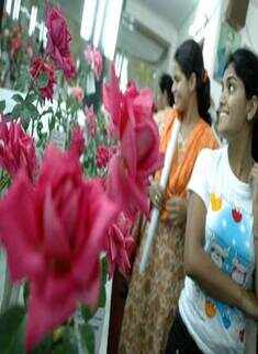 Rose exhibition