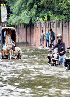 Best pictures of the day: 14th October 2013