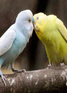 Best pictures of the day: 18th October 2013