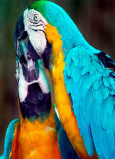 Best pictures of the day: 20th October 2013