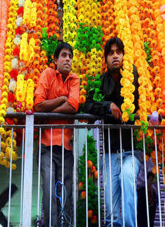 Best pictures of the day: 1st November 2013