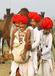Annual Cattle Fair in Pushkar