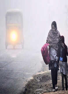 Best pictures of the day: 11th November 2013