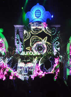Sunburn Festival 2013