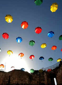 Most shared photos on Social media