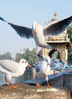 Best pictures of the day