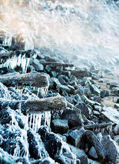 Polar freeze moves to US east, south; 21 dead