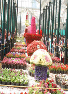65th Annual Republic Day flower show