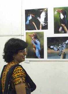 Ravishankar's gallery