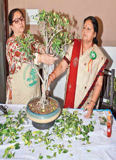 Avadh Bonsai Association's workshop