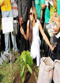 Launch: One Million trees by Naomi