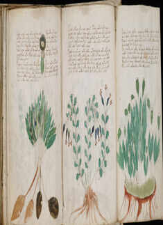 27 unsolved mysteries of the world