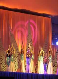Performance by Shiamak
