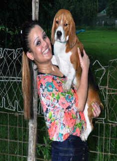 Pooch pool party in Kolkata