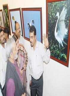 Wildlife photo exhibition