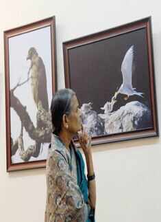 Wildlife photo exhibition