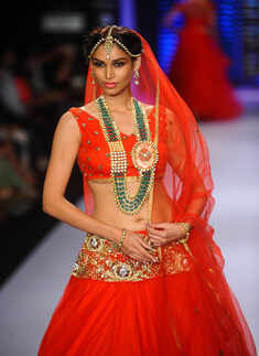 IIJW '14: Moni Agarwal