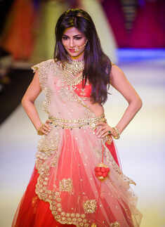 IIJW '14: Moni Agarwal