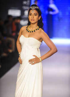 IIJW '14: IIGJ Mumbai