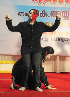 Ayyappan's birth centenary celebration