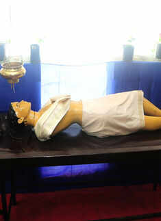 Ayurveda Expo by students