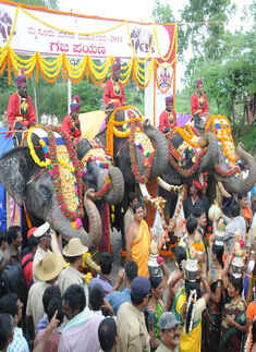 Dasara elephants arrive in Mysore