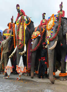 Dasara elephants arrive in Mysore