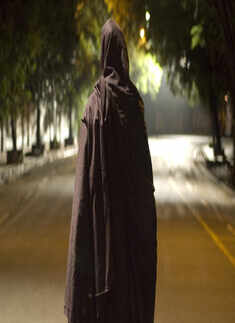 The Stoneman Murders