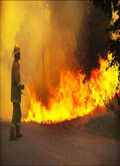 Wildfires claim 25 lives