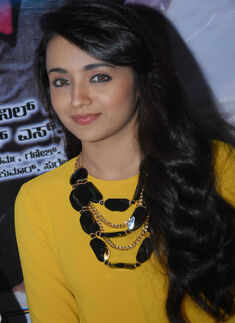 Power Star: Press meet