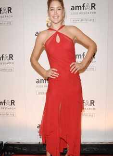 amfAR gala