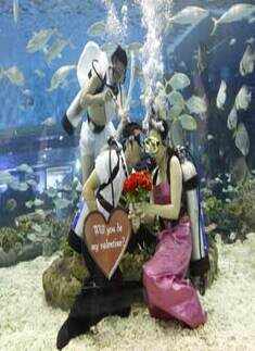 Happy V-Day: Love in the air